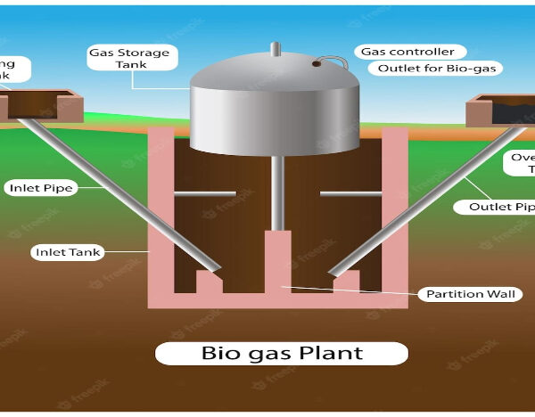 Bio gas plant